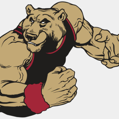 AR BEAR 40 RC Thumbnail