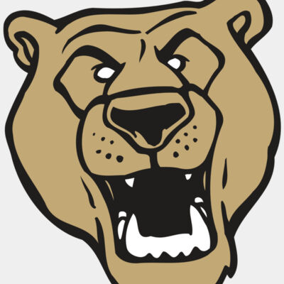 AR BEAR 13 RC Thumbnail