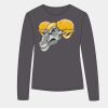 Hanes - Nano-T® Women’s Long Sleeve Scoopneck T-Shirt - S04LS Thumbnail